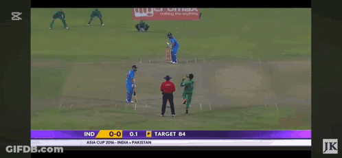 Cricket Game With Micromax Ad On Wall GIF