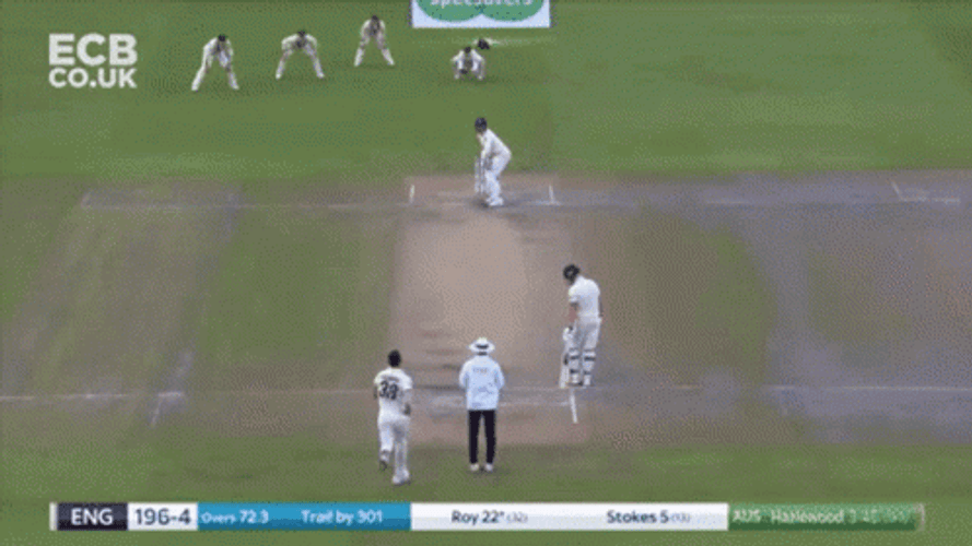 Cricket Jason Roy Celebrates GIF