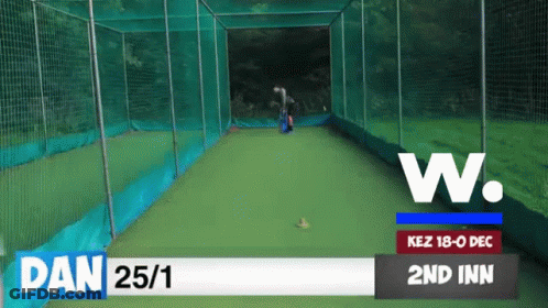 Cricket Match December 18Th At 2Nd Inn GIF