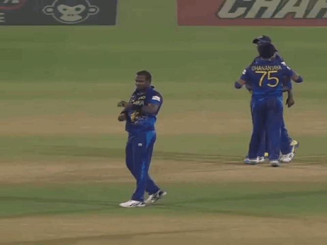 Cricket Player Paused Game GIF