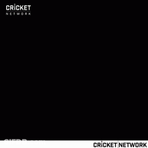 Cricket Player Standing On Field GIF