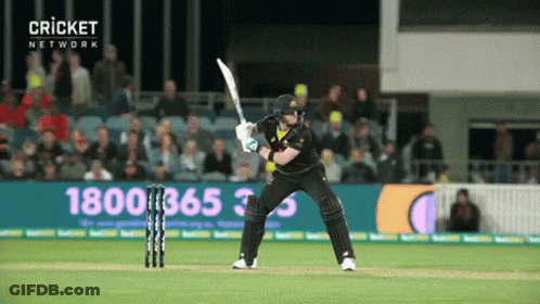 Cricket Player Swinging Bat At Wicket With Sign 1800 365 33 GIF