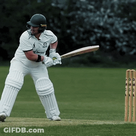 Cricket Player Wearing Helmet And Knight Shirt GIF