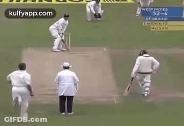 Cricket Players Playing Cricket GIF
