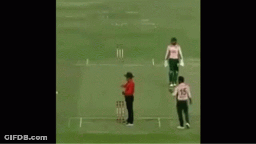 Cricket Players Standing On Field GIF