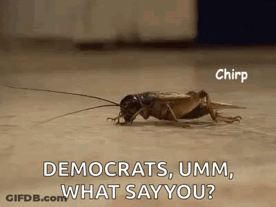 Cricket Saying Democrats Umm What Say You GIF