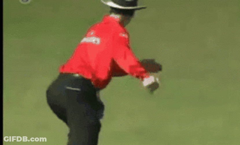 Cricket Umpire Four Signal GIF