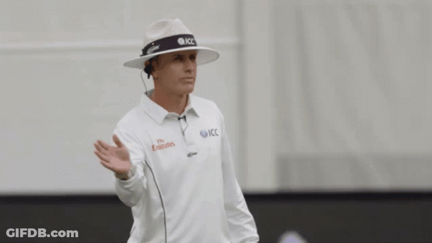 Cricket Umpire Richard Kettleborough Four Gesture GIF
