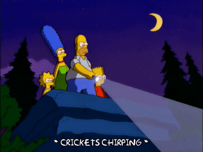 Crickets Chirping Shocked Homer Simpson GIF