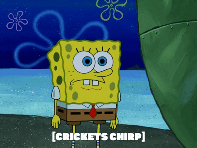 Crickets Chirping Spongebob GIF