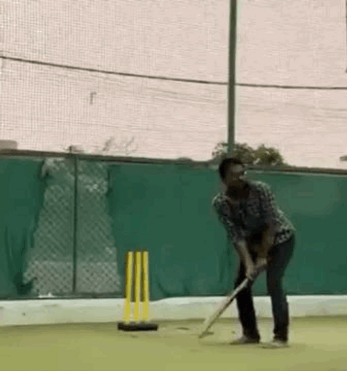 Crickets Meme Gully Cricket GIF