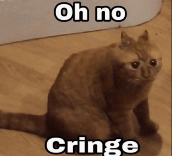 Cringe Cat Face Warp GIF