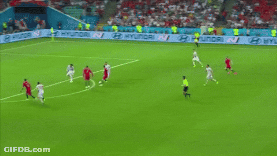 Cristiano Vs Pepe Portugal GIF