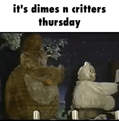 Critters Thursday Animals Playing Instruments GIF