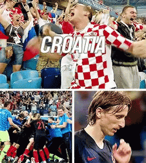 Croatia FIFA World Cup Celebration GIF