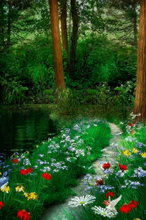 Croatia Plitvice Lakes GIF