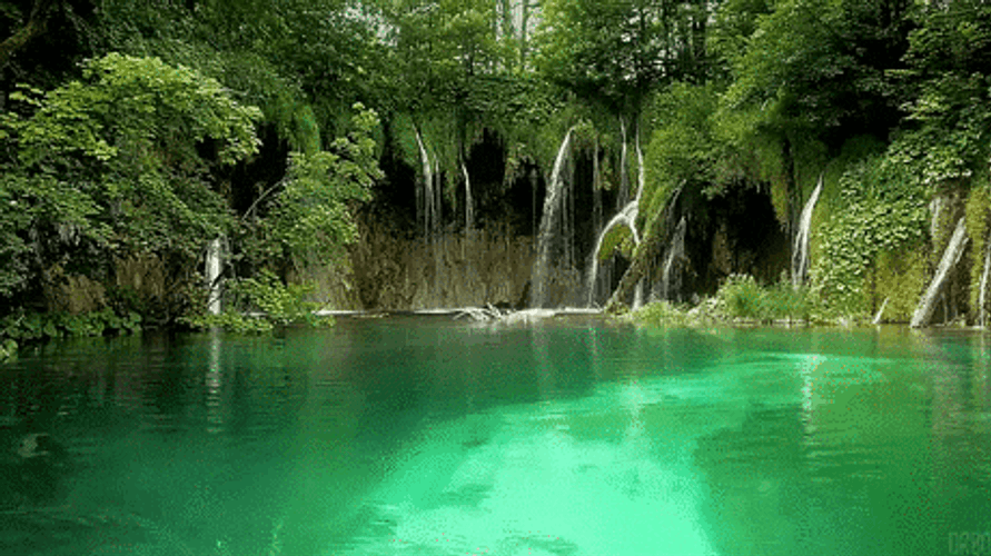 Croatia Plitvice Lakes National Park GIF