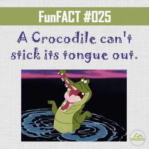 Crocodile Can't Stick Tongue Out GIF