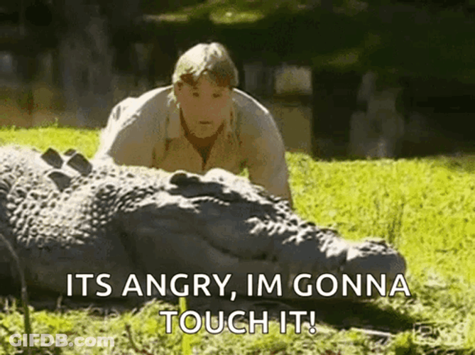 Crocodile Its Angry Im Gonna Touch It GIF