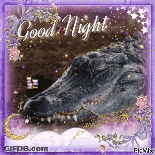 Crocodile Saying Good Night GIF