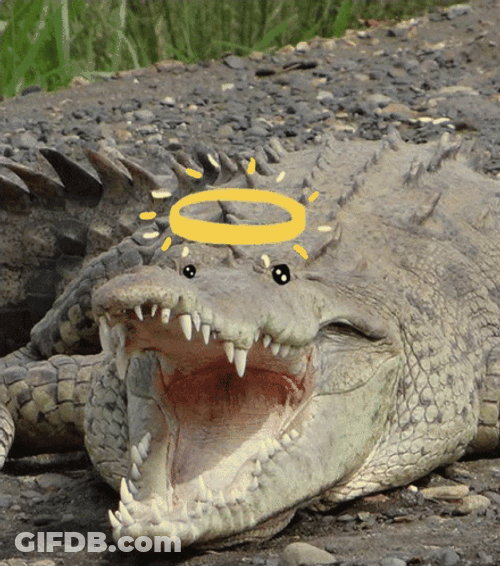 Crocodile With Filter Ring Crown GIF