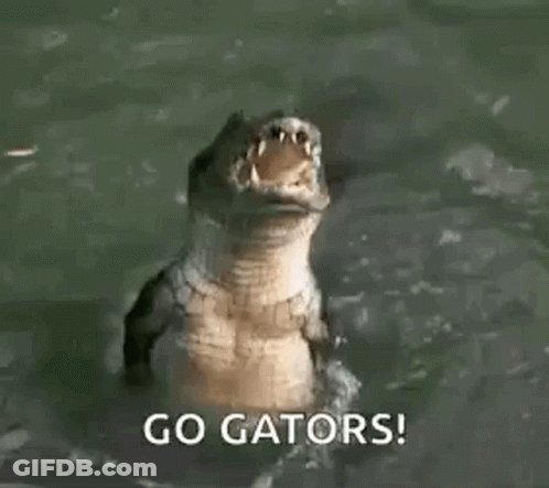 Crocodile With Open Mouth And Go Gators GIF