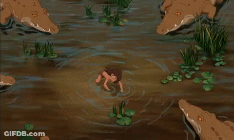 Crocodiles Surrounding Man In Swamp GIF