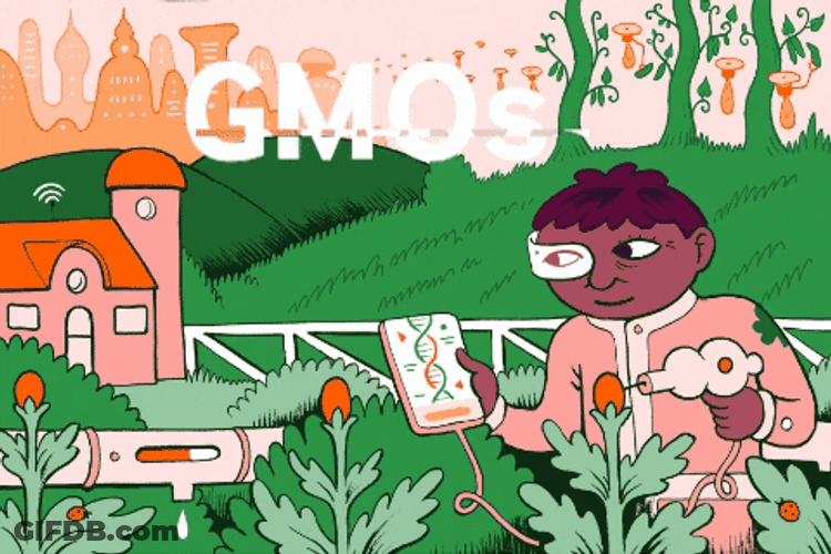Crop Bioengineered Food GMO's GIF