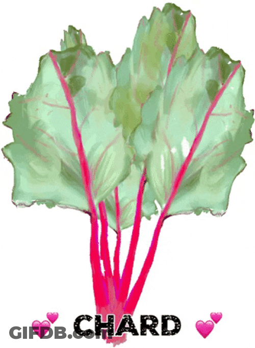 Crop Chard Vegetable GIF