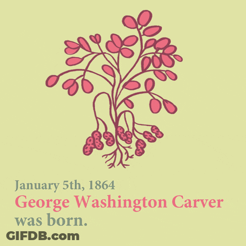 Crop George Washington Carver GIF