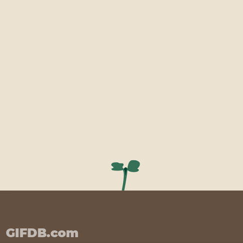 Crop Growing Grow GIF