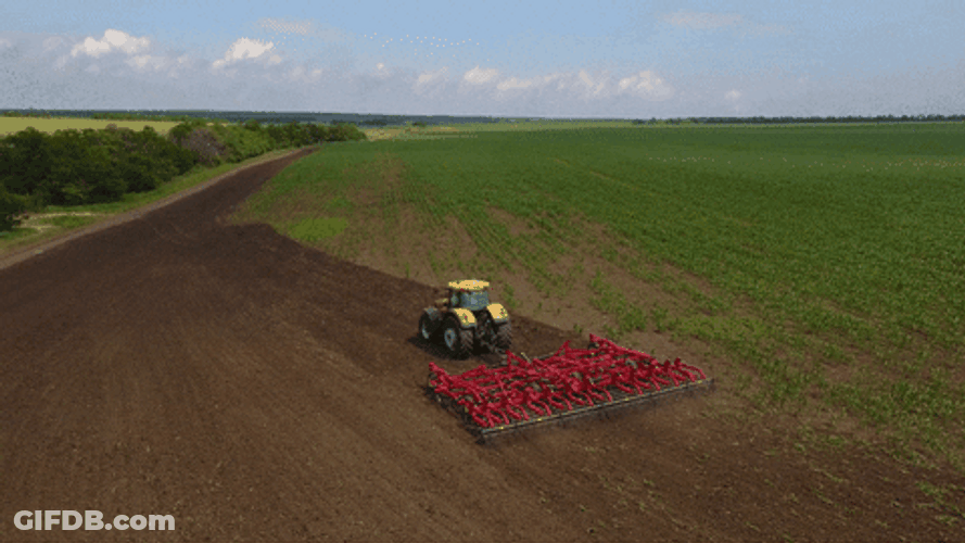 Crop Harvest View Shot GIF