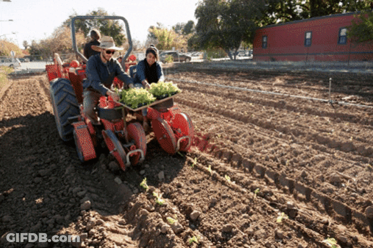 Crop Images Harvest GIF