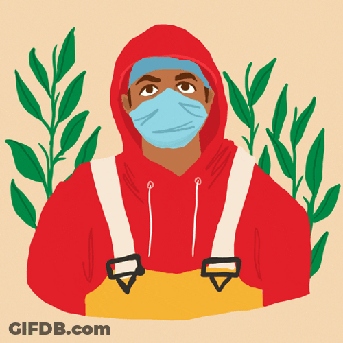Crop Man Masked GIF
