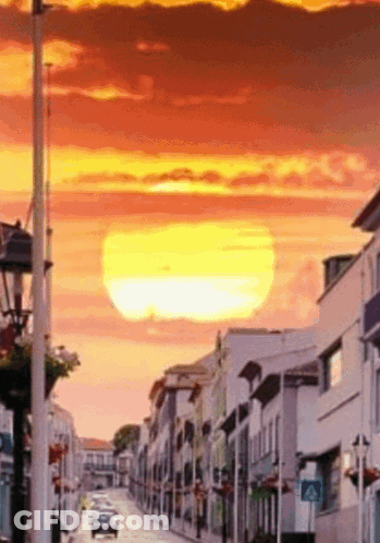Crosswalk Sign At Sunset GIF