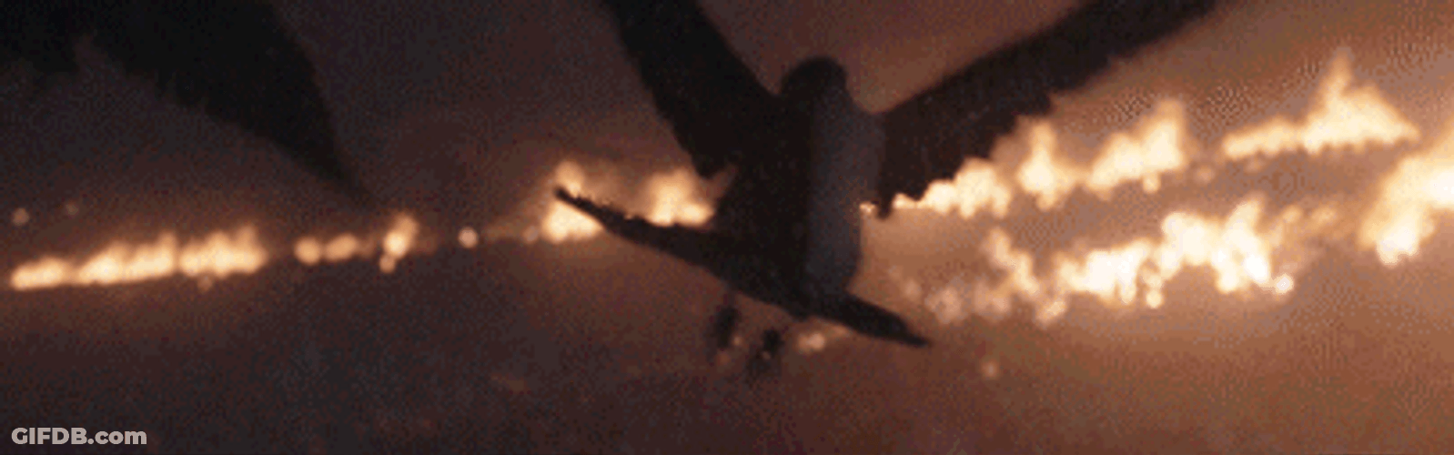 Crow Flying Through Flames GIF