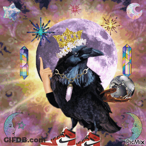 Crow Wearing Crown And Nike Sneakers GIF