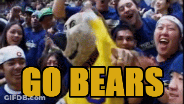 Crowd Around Bear Mascot Go Bears GIF