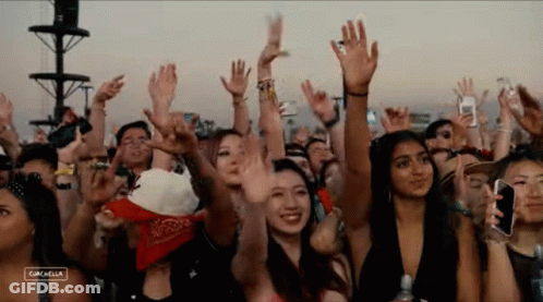 Crowd At Coachella Concert GIF