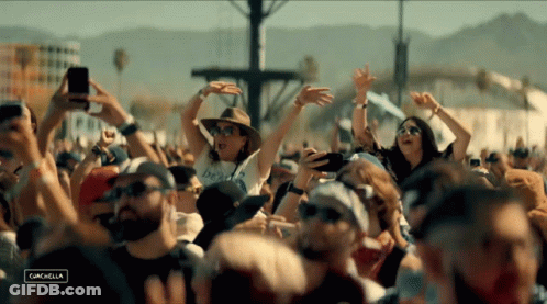 Crowd At Coachella Concert GIF
