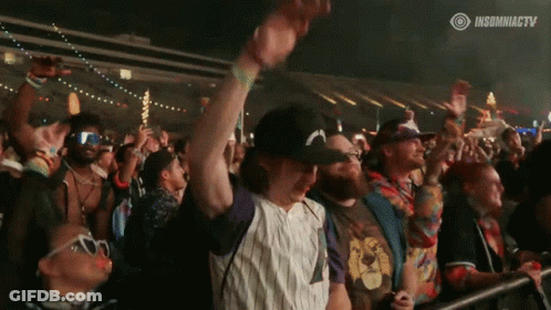 Crowd At Concert InsomniaCTV GIF