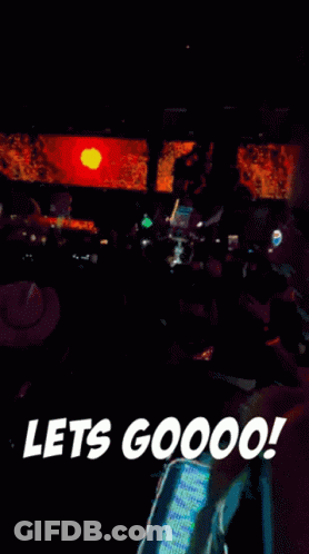 Crowd At Concert Lets Go GIF