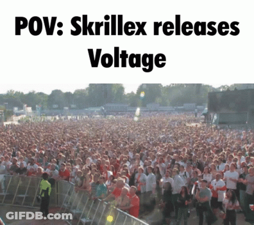 Crowd At Concert POV Skrillex Releases Voltage GIF