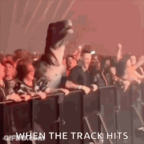 Crowd At Concert When The Track Hits GIF