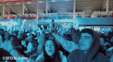 Crowd At Concert With Champions Sign GIF