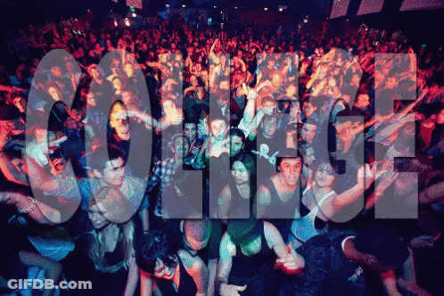 Crowd At Concert With College Sign GIF