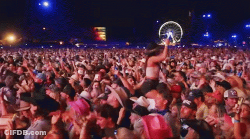 Crowd At Concert With Ferris Wheel GIF