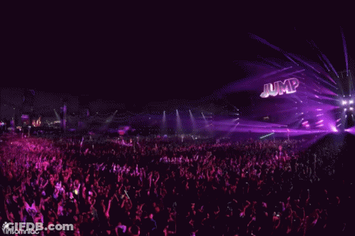 Crowd At Concert With Insomniac GIF