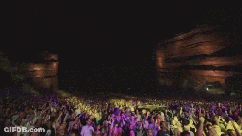 Crowd At Concert With Purple And Yellow Lights GIF