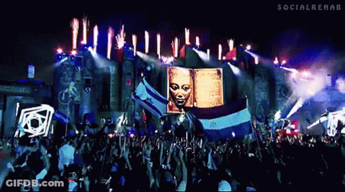 Crowd At Concert With Social Rehab GIF